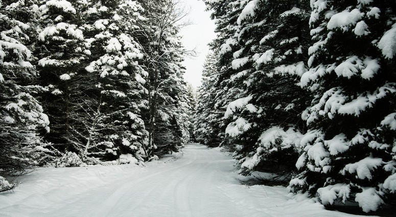 Snowmobile Trail Snowmobile Trail